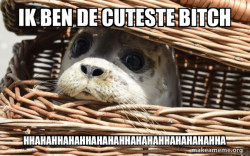Impending Doom Seal
