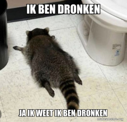 Drunk Raccoon