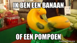 Gourd Advice Mallard