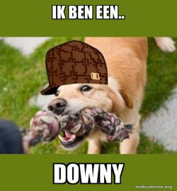Scumbag dog