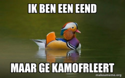 Fashionable Advice Mallard