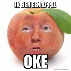 Impeached Donald Trump
