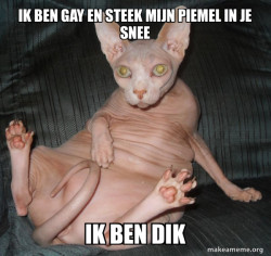 Hairless Cat