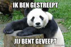 Confession Panda