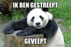 Confession Panda
