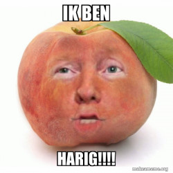 Impeached Donald Trump