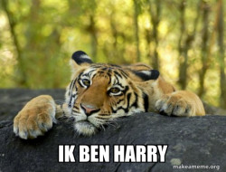 Confession Tiger