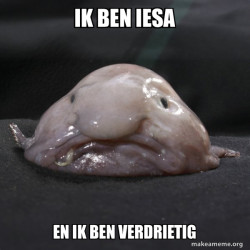 Blobfish