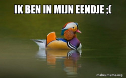 Fashionable Advice Mallard
