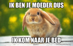 Regretful Rabbit
