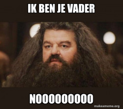 Hagrid - I should not have said that