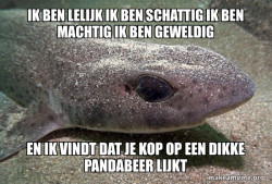 Dirty Joke Dogfish