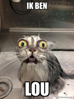 Cat bath