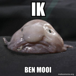 Ik ben prachtig