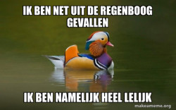 Fashionable Advice Mallard
