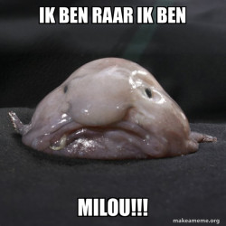 Blobfish