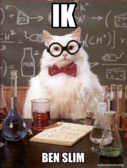 Chemistry Cat