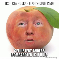Impeached Donald Trump