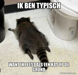 Drunk Raccoon