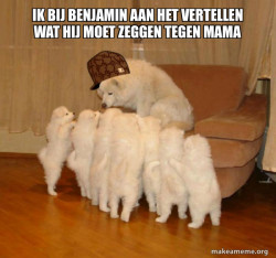 Scumbag Storytelling Dog