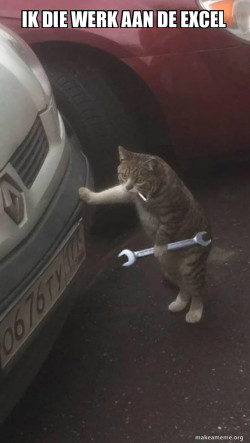 Mechanic Cat