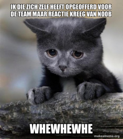 Confession Cat