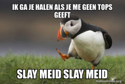 Unpopular Opinion Puffin