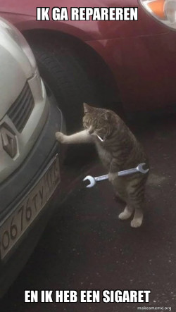 Mechanic Cat