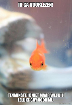 Grumpy Fish