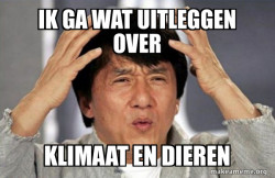 Jackie Chan Why?