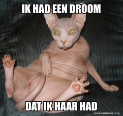 Hairless Cat