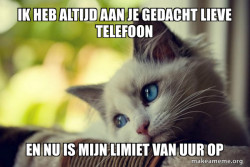 First World Cat Problems