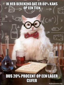 Chemistry Cat