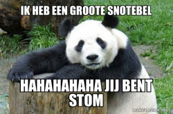 Confession Panda