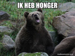 Sarcastic Bear
