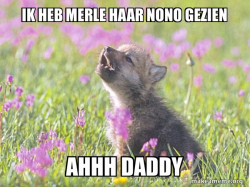 Baby Insanity Wolf