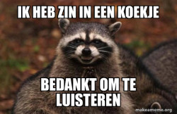 Evil Plotting Raccoon