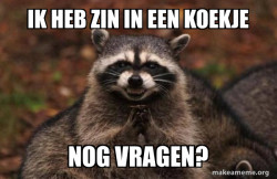Evil Plotting Raccoon