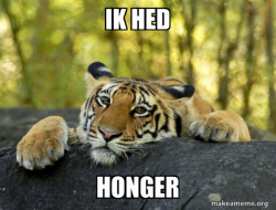 Confession Tiger