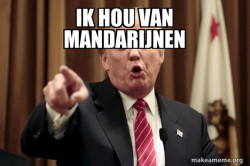 Donald Trump Says