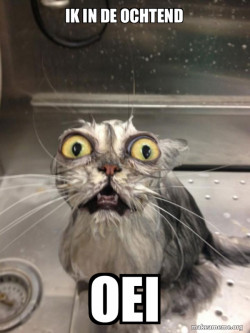 Cat bath