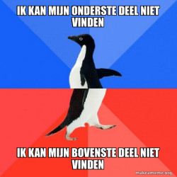 Socially Awkward Awesome Penguin