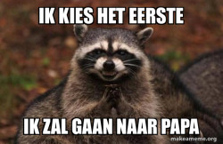Evil Plotting Raccoon