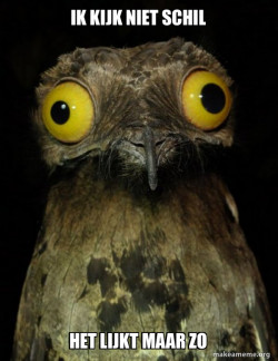 Weird Stuff I do Potoo