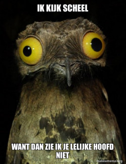 Weird Stuff I do Potoo
