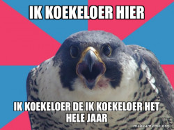 Millennial Falcon