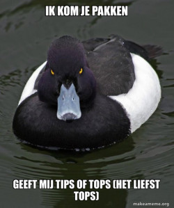 Revenge Duck ( Angry Advice Duck )