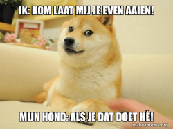 Doge
