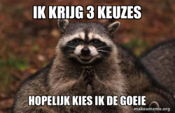 Evil Plotting Raccoon