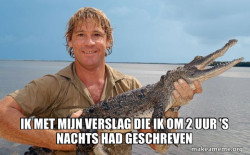Steve irwin